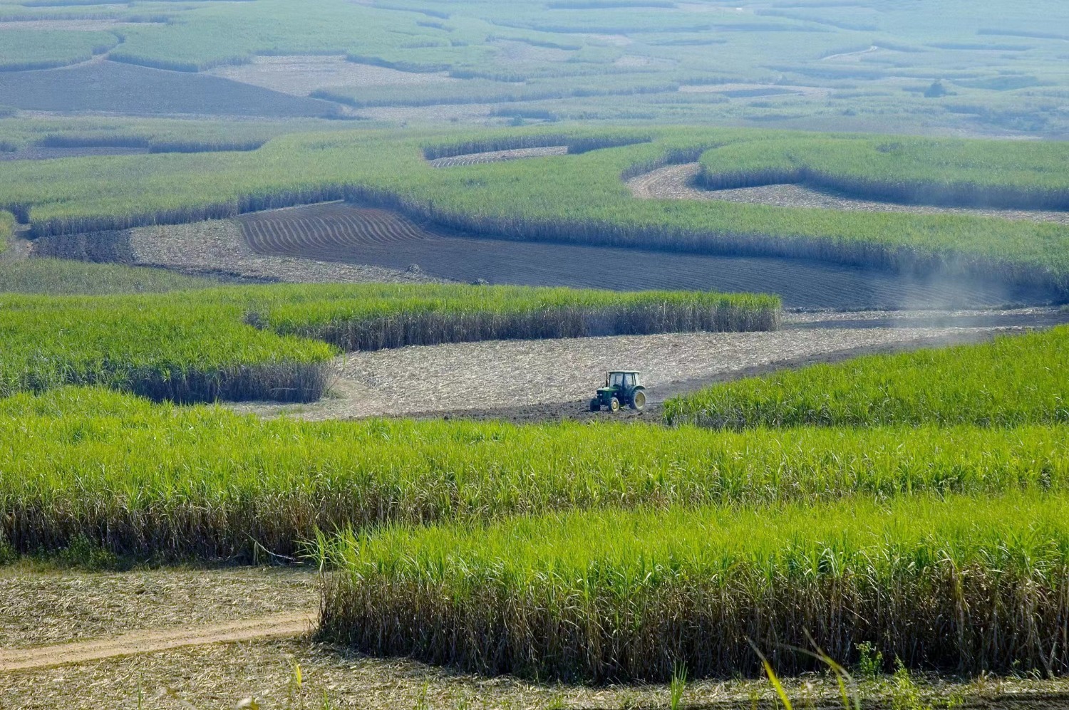 ����ͻ��-������κ�����_MG������Ϸ